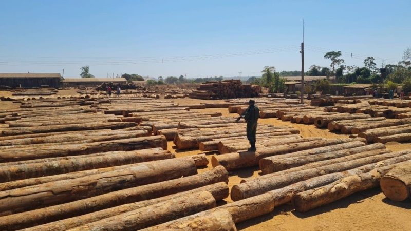 Fiscalização apreende madeira ilegal e aplica multa de meio milhão em Feliz Natal