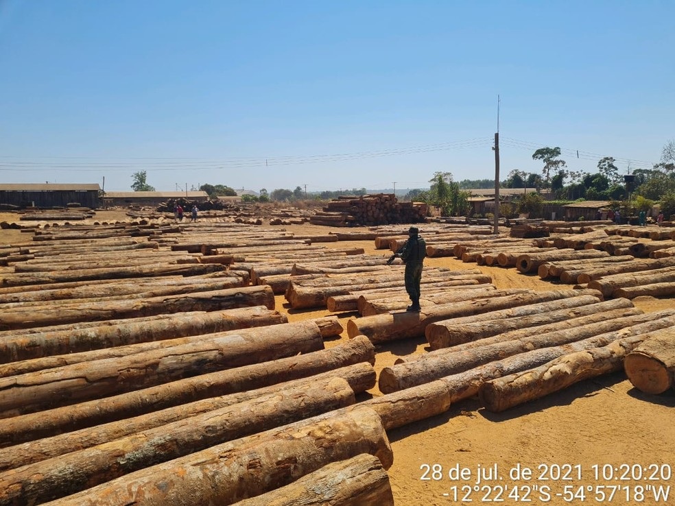 Fiscalização apreende madeira ilegal e aplica multa de meio milhão em Feliz Natal