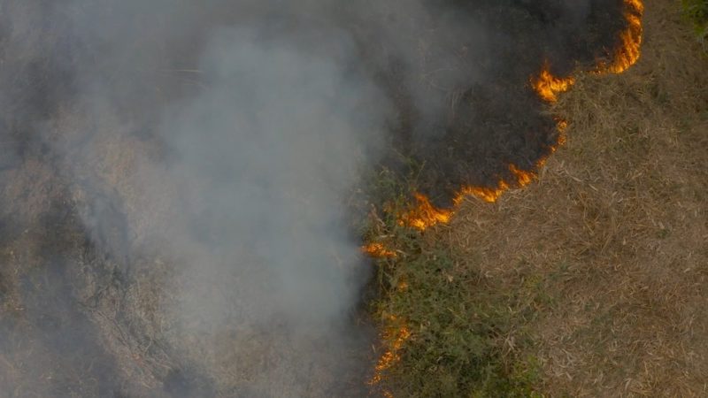 Incêndio no Pantanal – Até agora, mais de 1,5 mil hectares do Pantanal mato-grossense foram destruídos pelo fogo.
