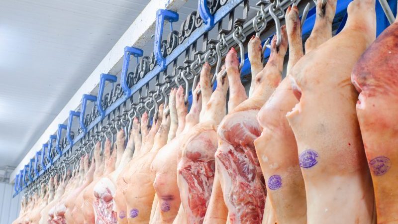 Exportações de carne suína mantém alta de 11,53% em 2021