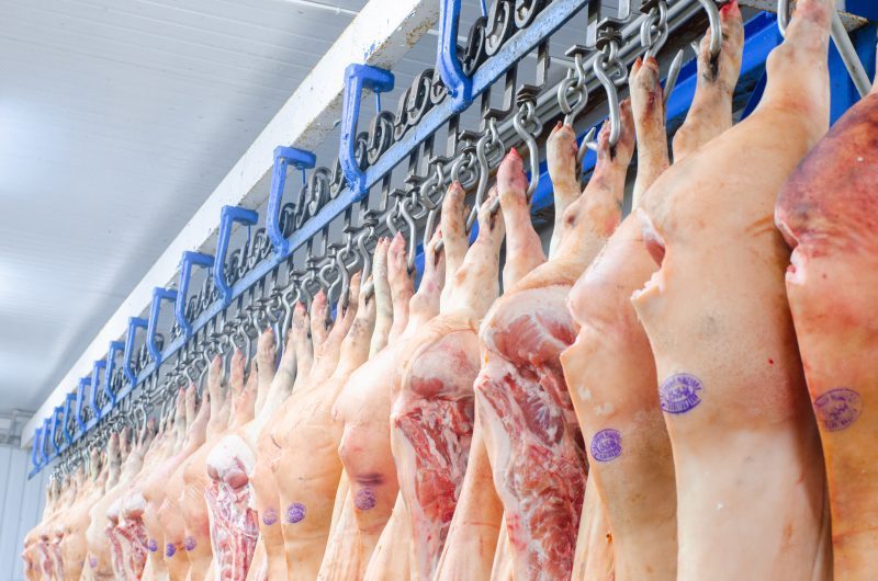 Exportações de carne suína mantém alta de 11,53% em 2021