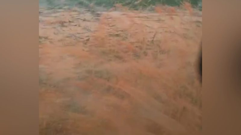 Vera: Chuva forte deixa estrada alagada e inunda produção