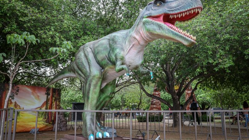 Exposição gratuita reúne réplicas de dinossauros em parque em Cuiabá