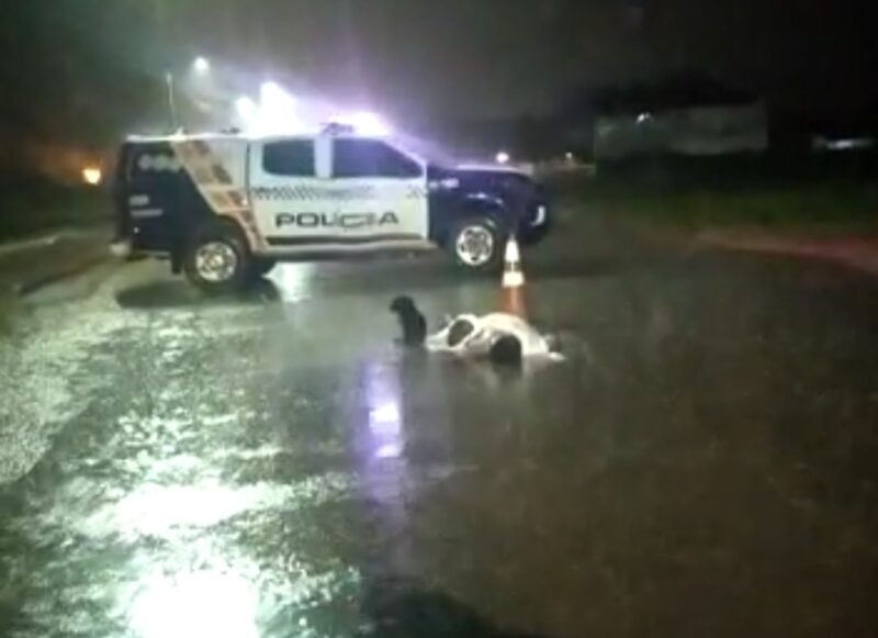 Idoso tenta atravessar rodovia durante chuva e morre atropelado por caminhonete