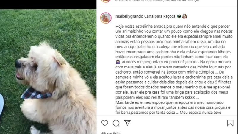 Após ser esquecido em Carro de Pet shop cachorro morre em Sorriso