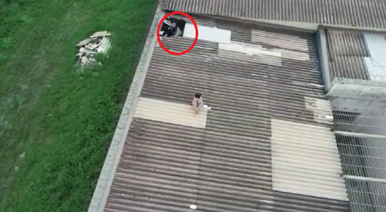 Ao tentar impedir fuga de líder do CV policial penal quase despenca do telhado