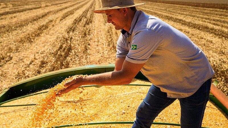 Mato Grosso lidera produção agropecuária brasileira por 4 anos consecutivos