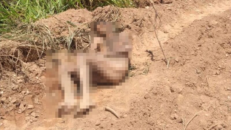 Corpo de homem nu é encontrado em MT
