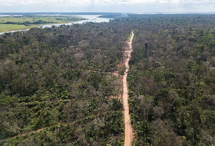 No Mato Grosso, grilagem e desmatamento avançam sobre assentamento da reforma agrária