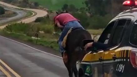Homem bêbado anda a cavalo no meio de rodovia do Paraná; veja
