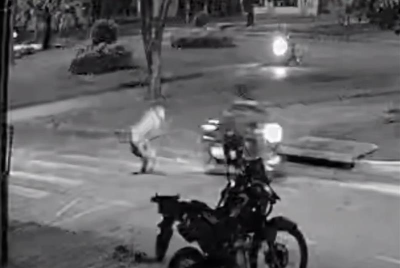 Motociclista é procurado pela Polícia após atropelar idoso em faixa de pedestre em nova Mutum