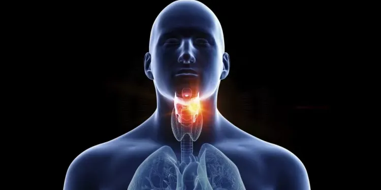 Sexo oral torna-se principal fator de risco para câncer de garganta