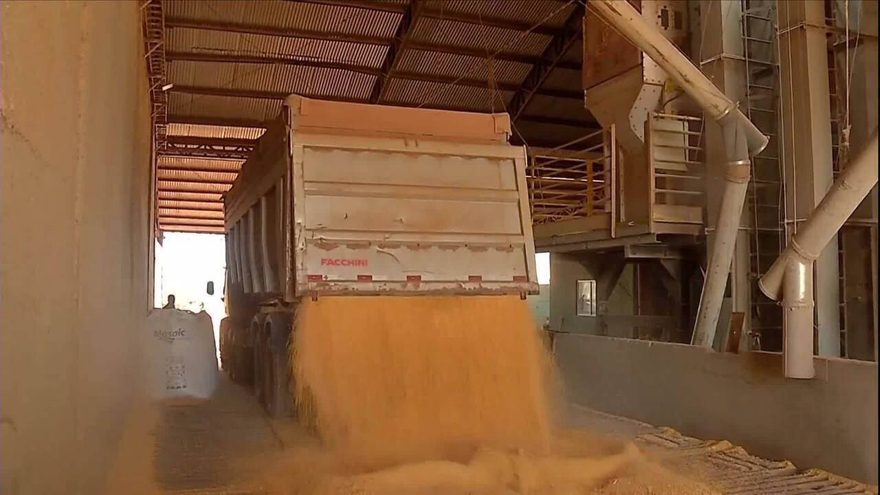 Explosão de silo acende alerta para prevenção de acidentes em armazéns de grãos em MT