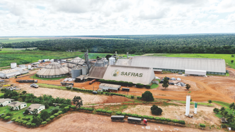 Exposição gratuita reúne réplicas de dinossauros em parque em Cuiabá, Mato  Grosso