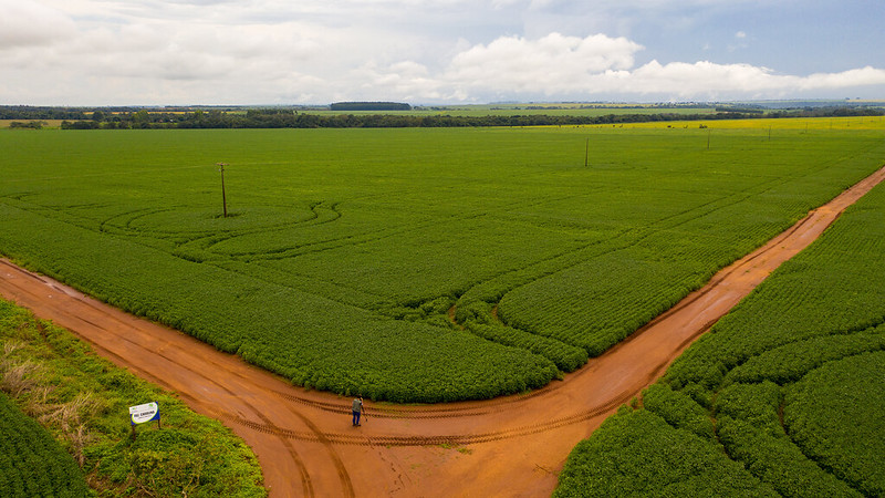 Brasil é o país com mais áreas que ainda podem ser usadas pelo agronegócio