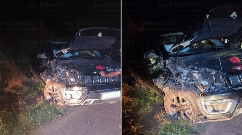 Boi atravessa frente de veículo e provoca acidente na MT-249 em Nova Mutum