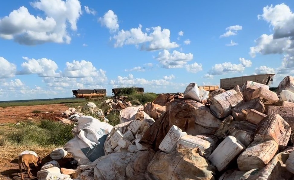 Gerente de fazenda é preso por crime ambiental em MT