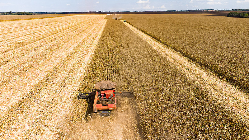 Colheita de milho é iniciada em Mato Grosso