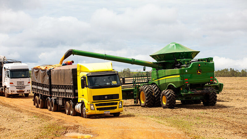 Exportações de soja despencam, com produtores “segurando” estoque em busca de preços melhores