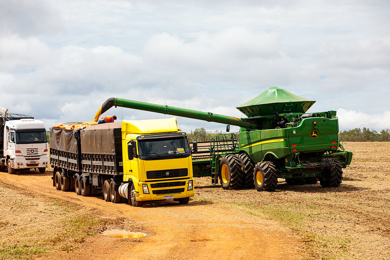 Exportações de soja despencam, com produtores “segurando” estoque em busca de preços melhores