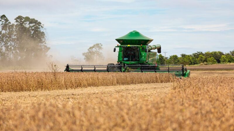 Mato Grosso se mantém como maior produtor de grãos do país em 2024
