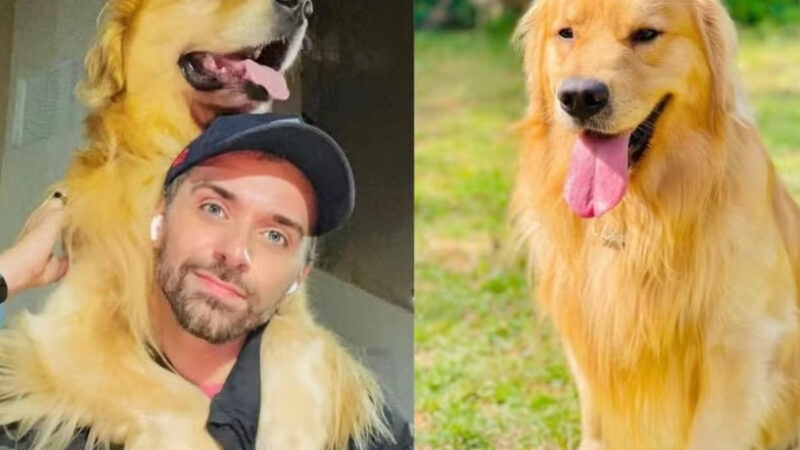 Defensoria pede R$ 10 milhões de indenização por morte do ‘cachorro Joca’ em avião da Gol