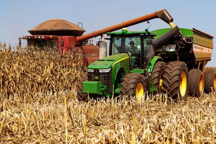 Demanda por milho em MT cresce com força do etanol e maior consumo interno, aponta Imea