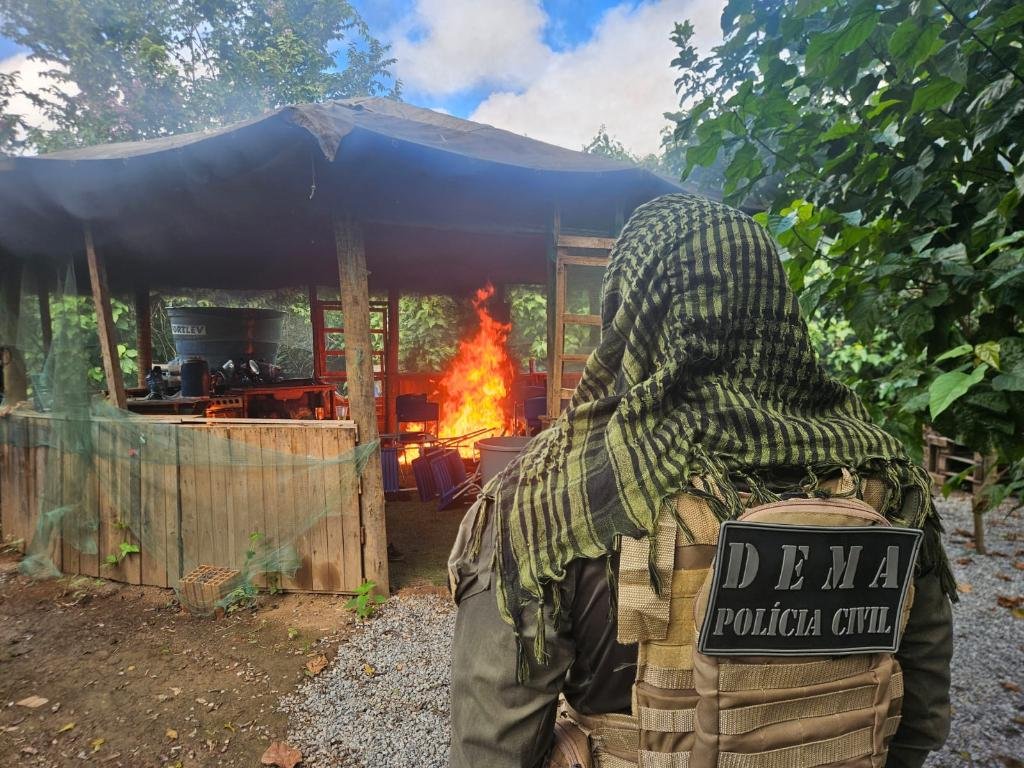 PC prende 4 por destruir vegetação e construir em área de preservação em MT