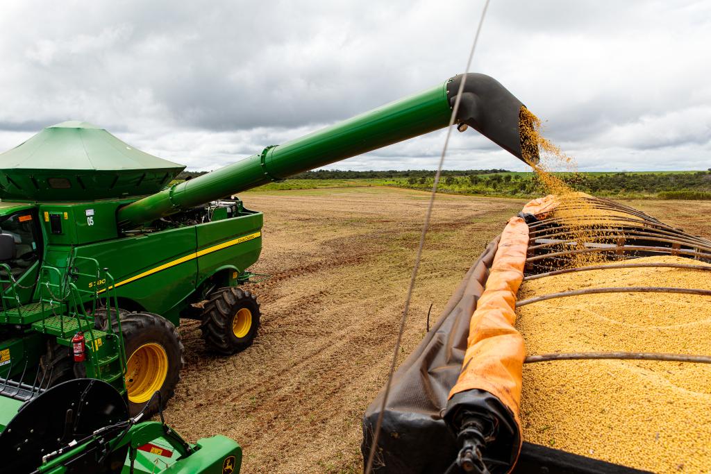 Esmagamento de soja bate recorde em fevereiro em Mato Grosso e impulsiona exportações de farelo