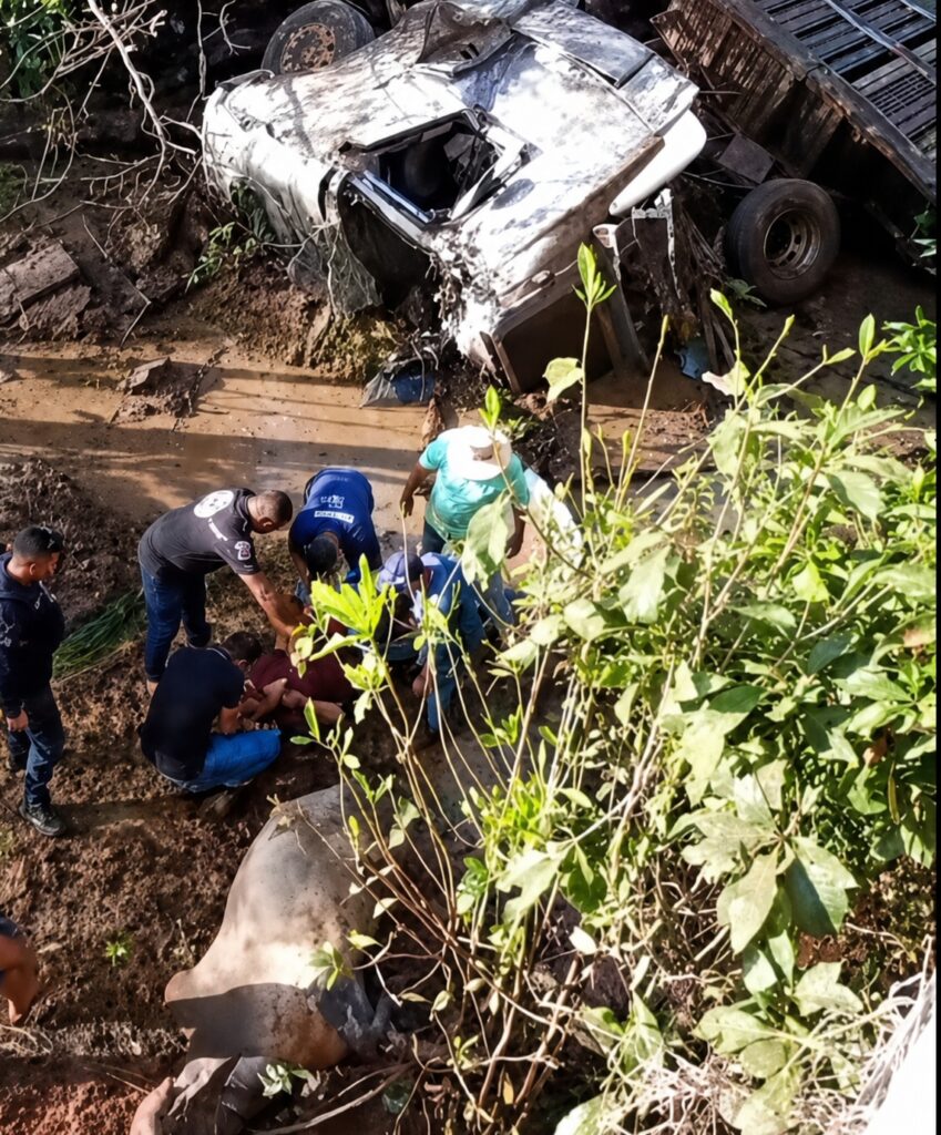 Carreta com carga de bois cai de ponte e vai parar em rio na MT-220; animais morrem e motorista é socorrido entre Pontos do Gaúchos e Tabaporã