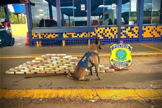 PRF apreende 70 kg de pasta base de cocaína escondidos em caminhão na BR-364