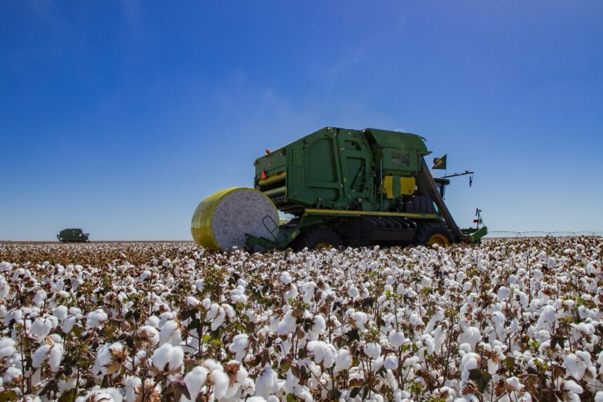 Mato Grosso entra em alerta após aumento do risco de El Niño muito forte durante a safra 2026/27
