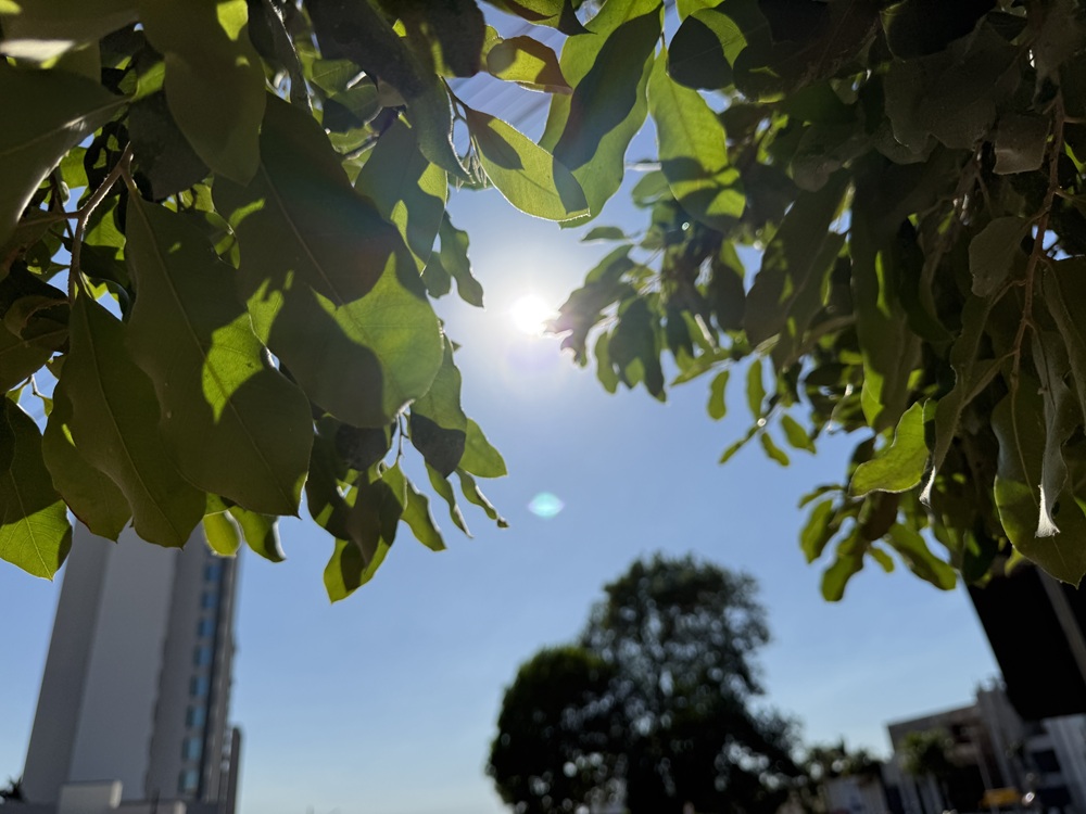 Frio perde força e calor pode chegar a 38°C em cidades de MT nesta semana