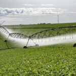 Governo mantém isenção de ICMS para equipamentos de irrigação em Mato Grosso