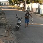 Homem é autuado após matar gato com golpes de madeira em MT