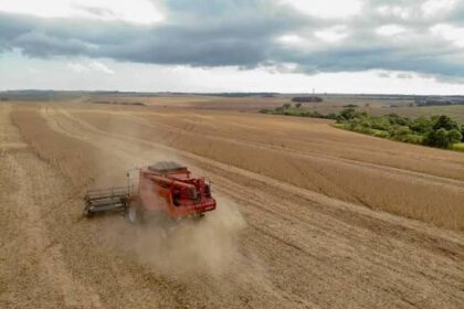 Custo para produzir soja sobe 3,21% e chega a R$ 4,3 mil por hectare em Mato Grosso