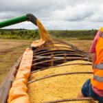 Indústria de MT bate recorde ao processar 7 milhões de toneladas de soja no primeiro semestre
