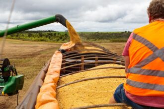 Indústria de MT bate recorde ao processar 7 milhões de toneladas de soja no primeiro semestre